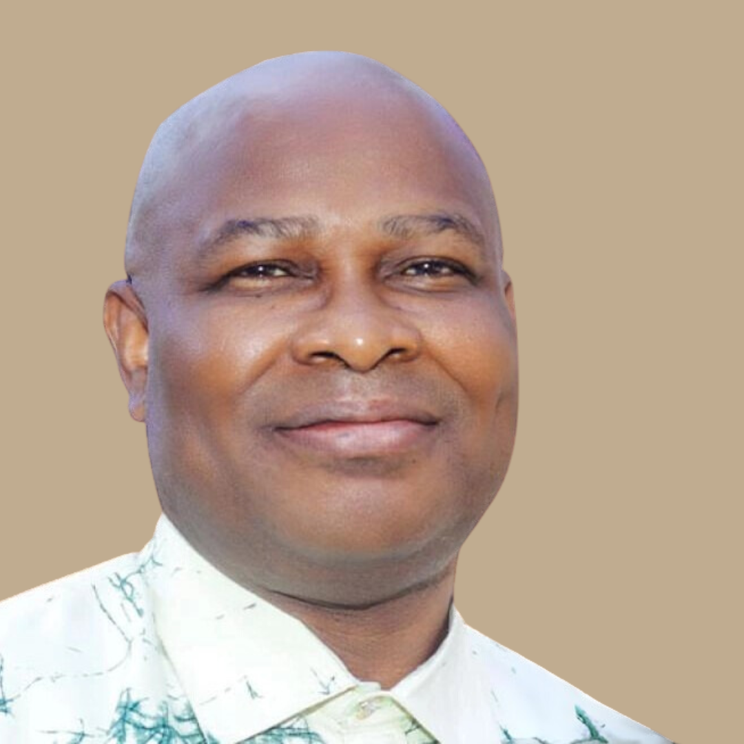 Prof. Adebayo Olukoshi 