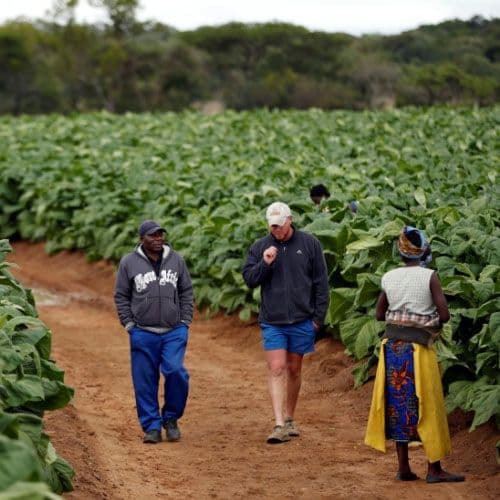To Compensate or Not To? Revisiting the Debate on Compensation for Former Large–Scale Farmers in Zimbabwe