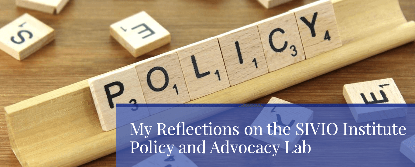 My Reflections on the Policy and Advocacy Lab