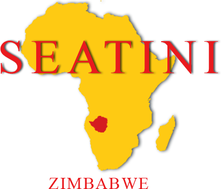 SEATINI Logo